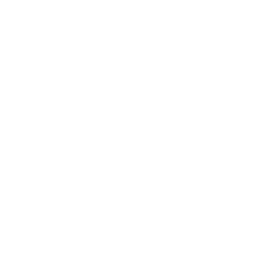Best Brains